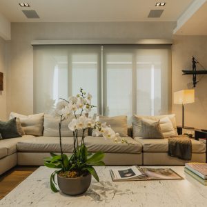 family room