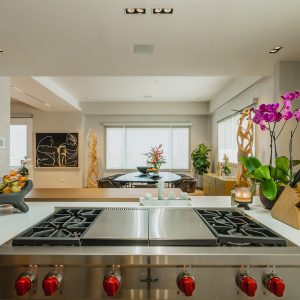 stove(1)